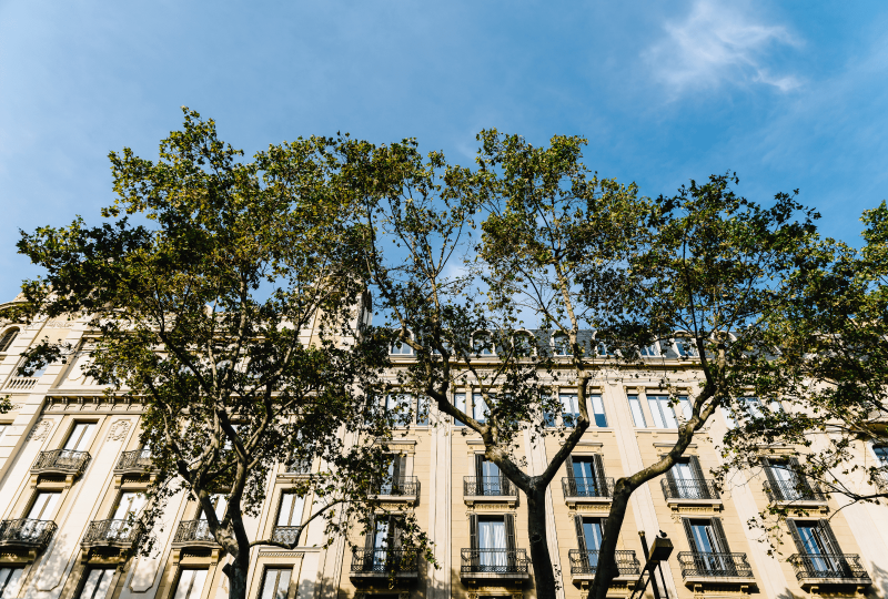 assurance multirisque immeuble à Paris des immeuble haussmanien