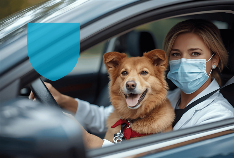 Vétérinaire bien assuré dans son véhicule pro